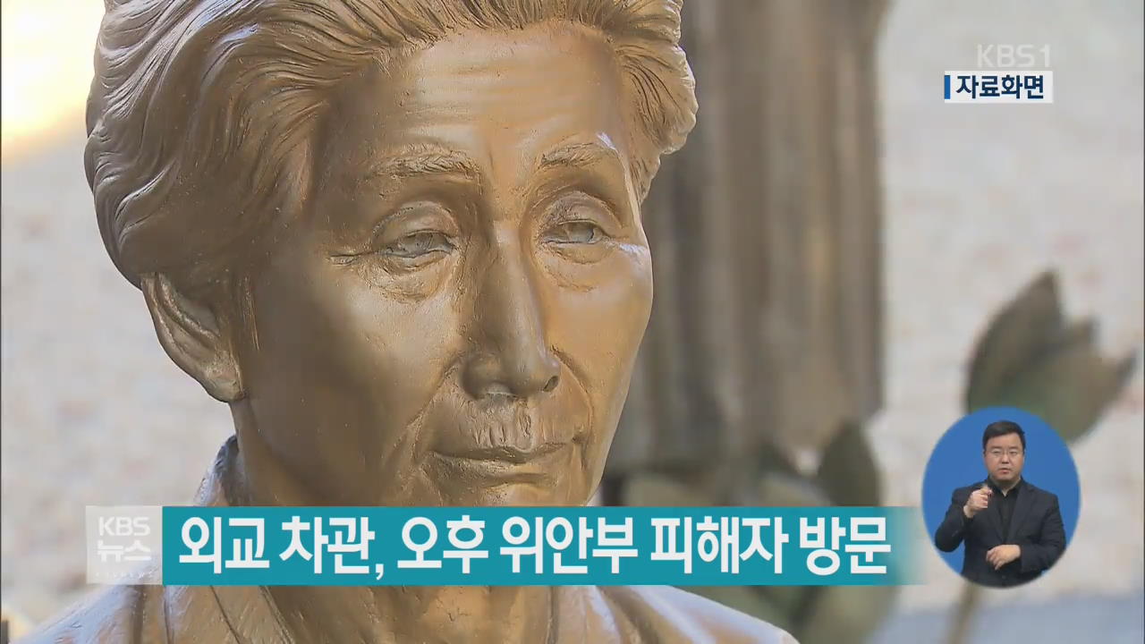 외교 차관, 오후 위안부 피해자 방문