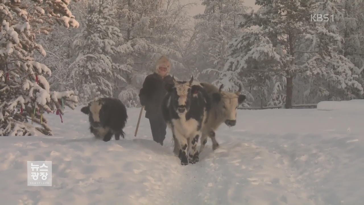 무려 영하 50도…시베리아 야쿠티아의 겨울