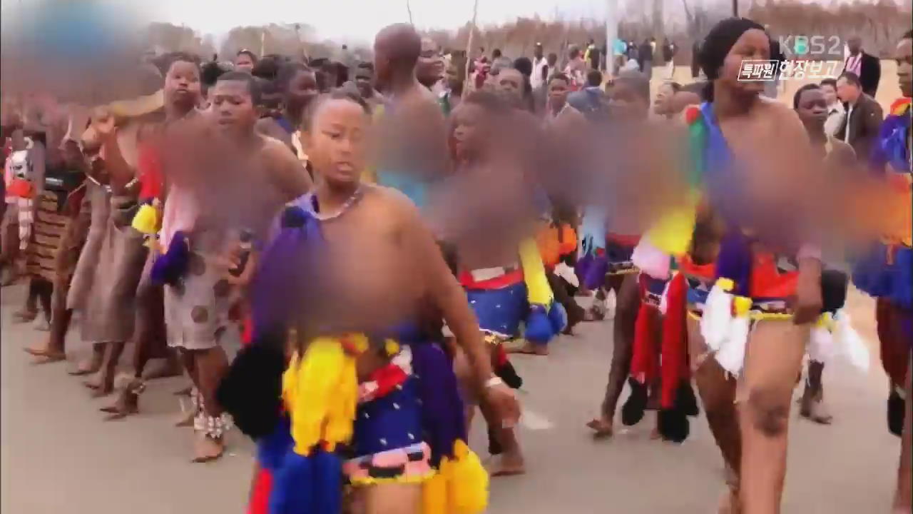 [특파원eye] 인권 침해 지탄 갈대 춤 축제