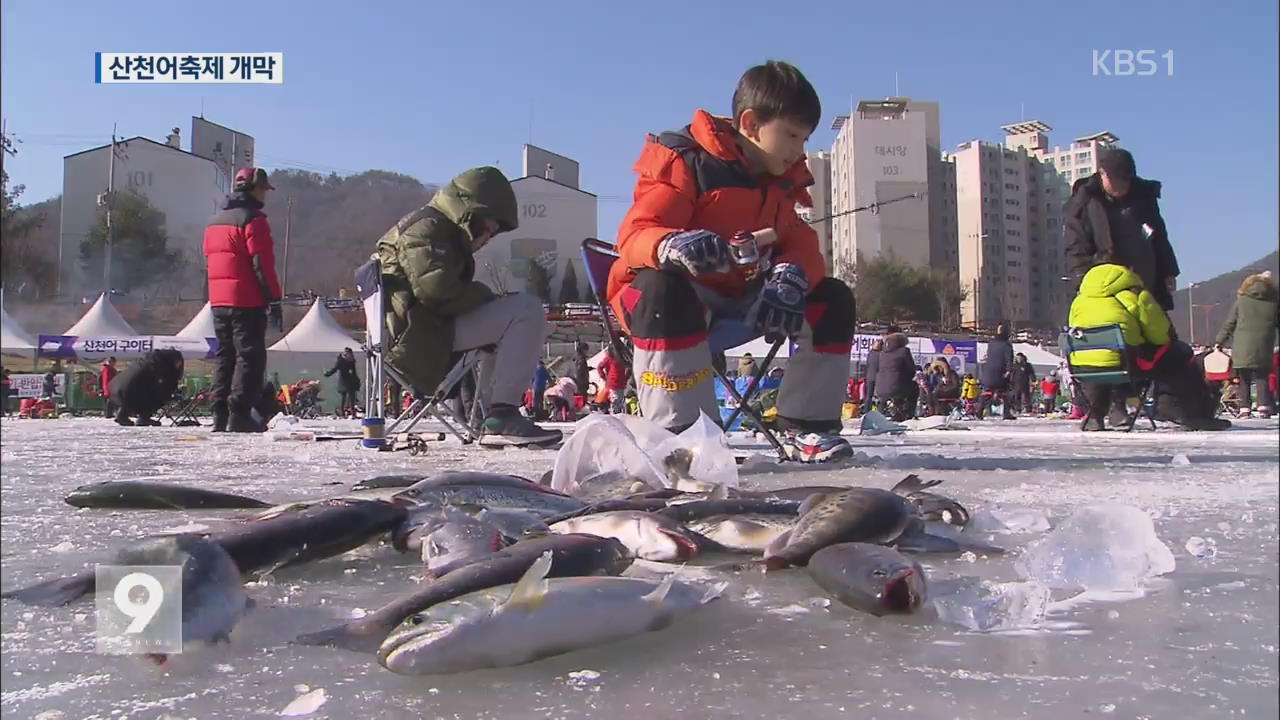 ‘추위야 반갑다’ 산천어축제 12만 명 인산인해