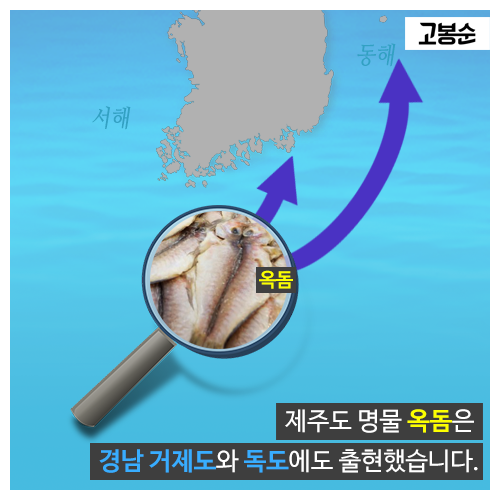 [고봉순] 새롭게 그려지는 ‘물고기 지도’