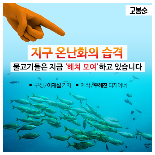 [고봉순] 새롭게 그려지는 ‘물고기 지도’
