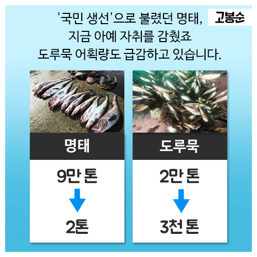 [고봉순] 새롭게 그려지는 ‘물고기 지도’