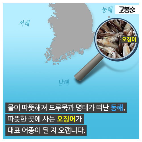 [고봉순] 새롭게 그려지는 ‘물고기 지도’