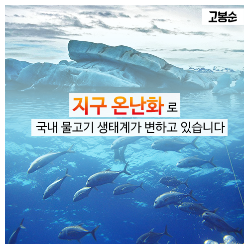 [고봉순] 새롭게 그려지는 ‘물고기 지도’