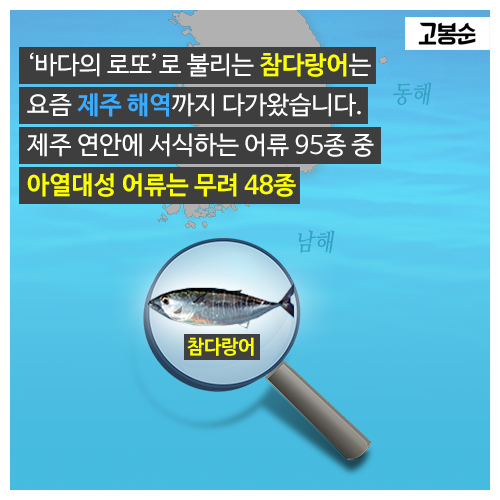 [고봉순] 새롭게 그려지는 ‘물고기 지도’
