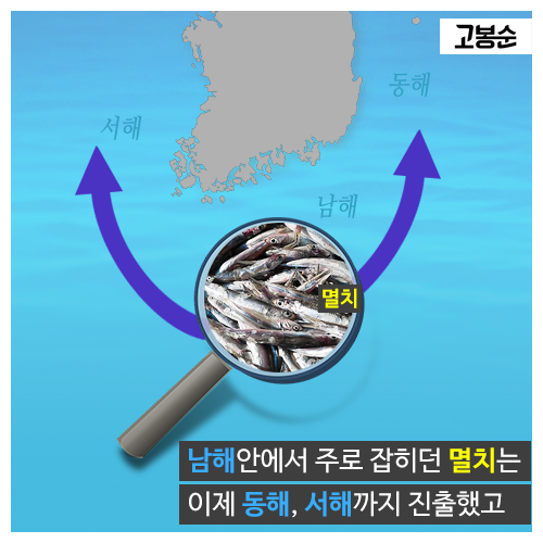 [고봉순] 새롭게 그려지는 ‘물고기 지도’