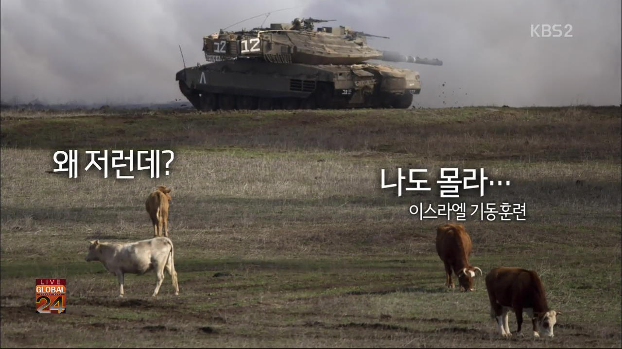 [글로벌24 한 컷] 왜 저런데?…나도 몰라