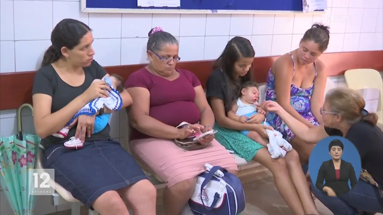 소두증 유발 ‘지카 바이러스’ 확산…브라질 ‘비상’
