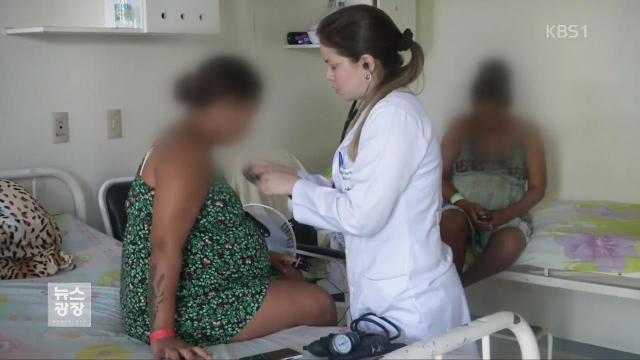 유럽 첫 임신부 감염…“감염지 여행자 헌혈금지”