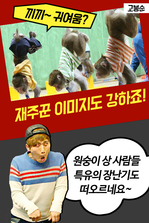 [고봉순] 누구냐. 넌!