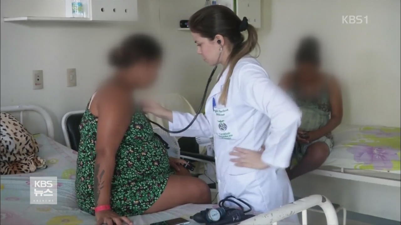 지카 바이러스 임신부 5천 명 넘어