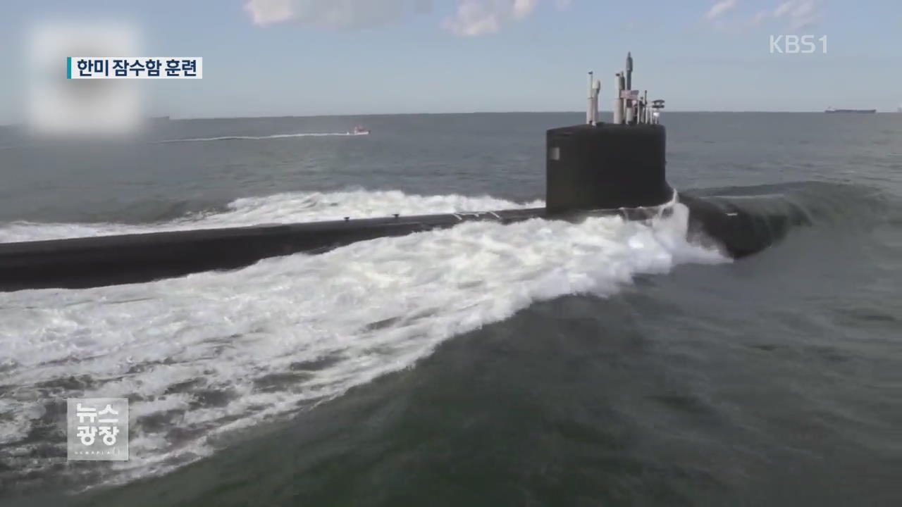 한미 동해서 연합 훈련…美 핵잠수함 참가