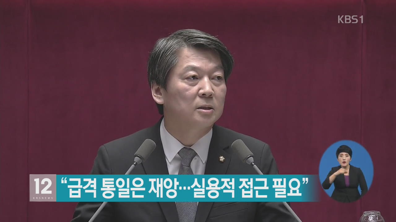 “급격 통일은 재앙…실용적 접근 필요”