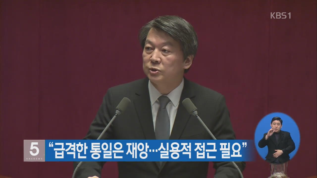 안철수 “급격한 통일은 재앙…실용적 접근 필요”