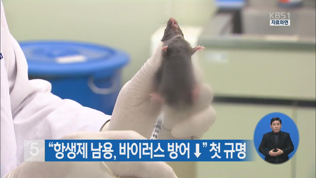“항생제 남용, 바이러스 방어 ↓” 첫 규명