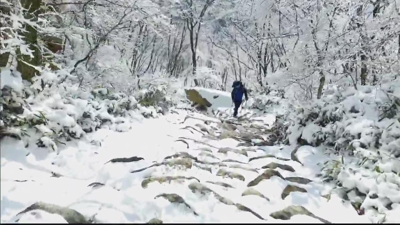 눈꽃에 상고대까지…속리산 설경 장관