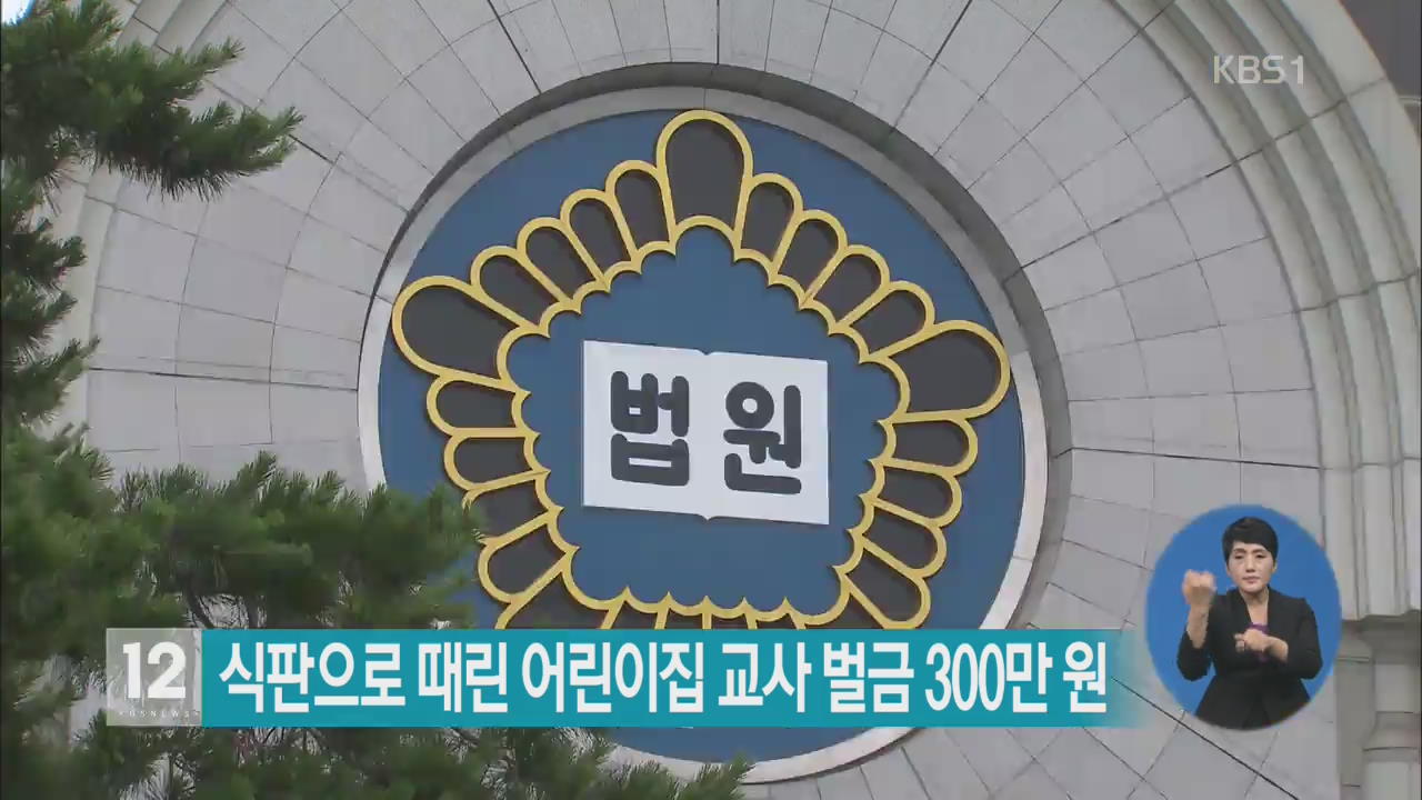 식판으로 때린 어린이집 교사 벌금 300만 원