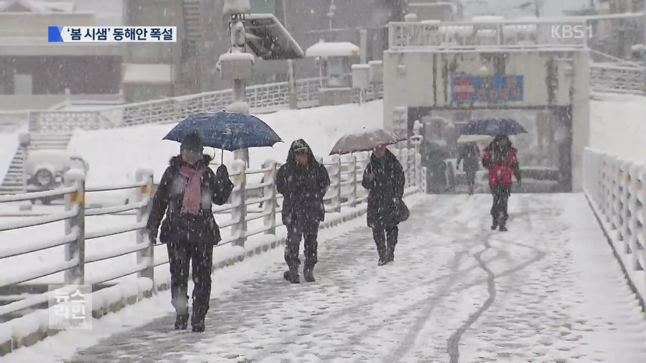 동해안 최고 20cm 폭설…눈길사고 잇따라