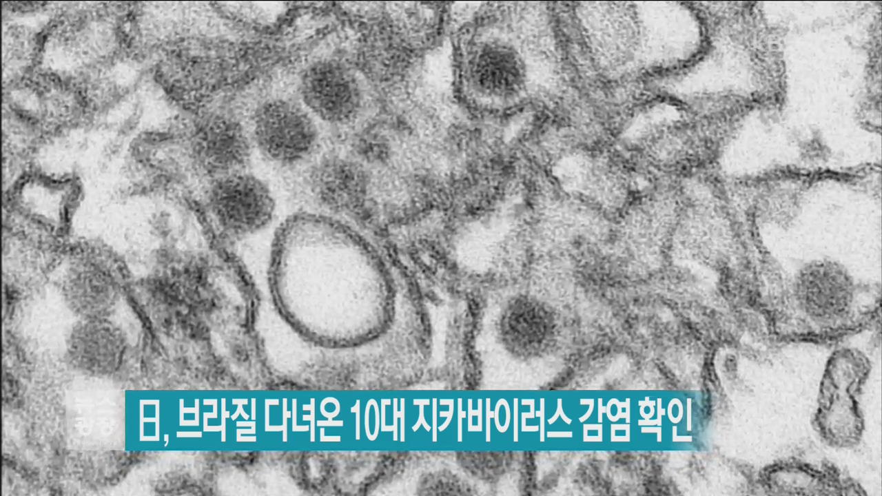 [지금 세계는] 日, 브라질 다녀온 10대 지카바이러스 감염 확인