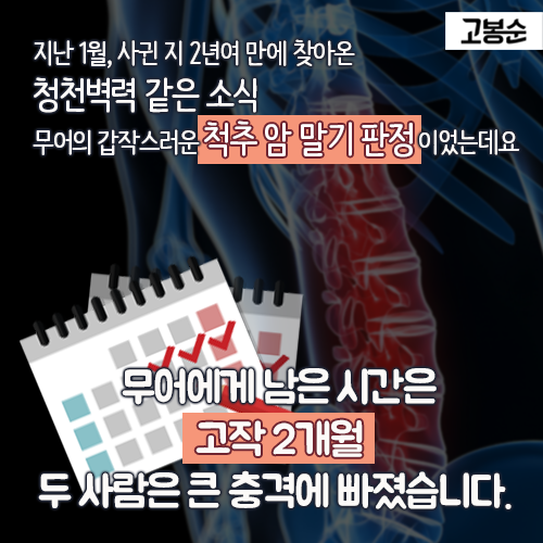 [고봉순] 남은 시간은 2개월, 시한부 커플의 눈물의 결혼식