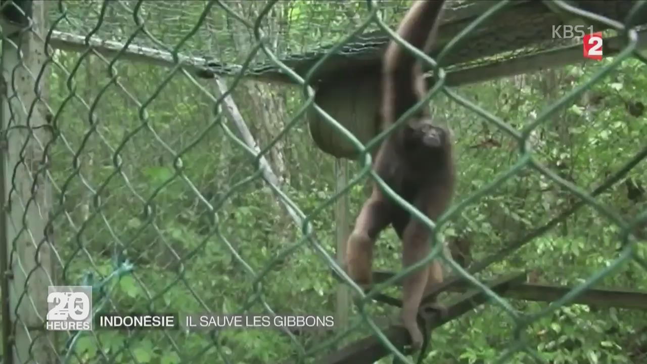 프랑스, 열대우림 훼손…‘원숭이를 구하라’