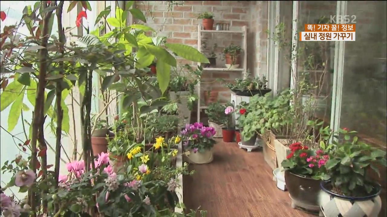 [똑! 기자 꿀! 정보] ‘집 안에서 느끼는 봄’…나만의 실내 정원
