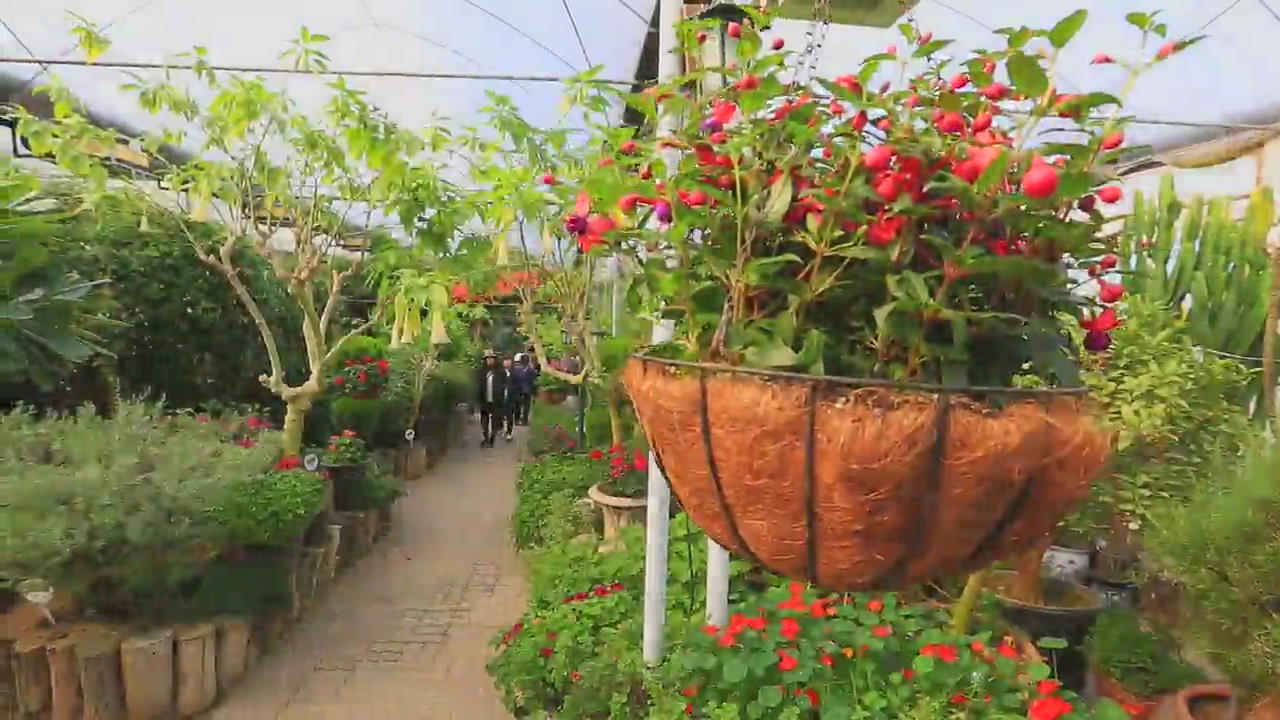[뉴스광장 영상] 허브향 가득한 식물원