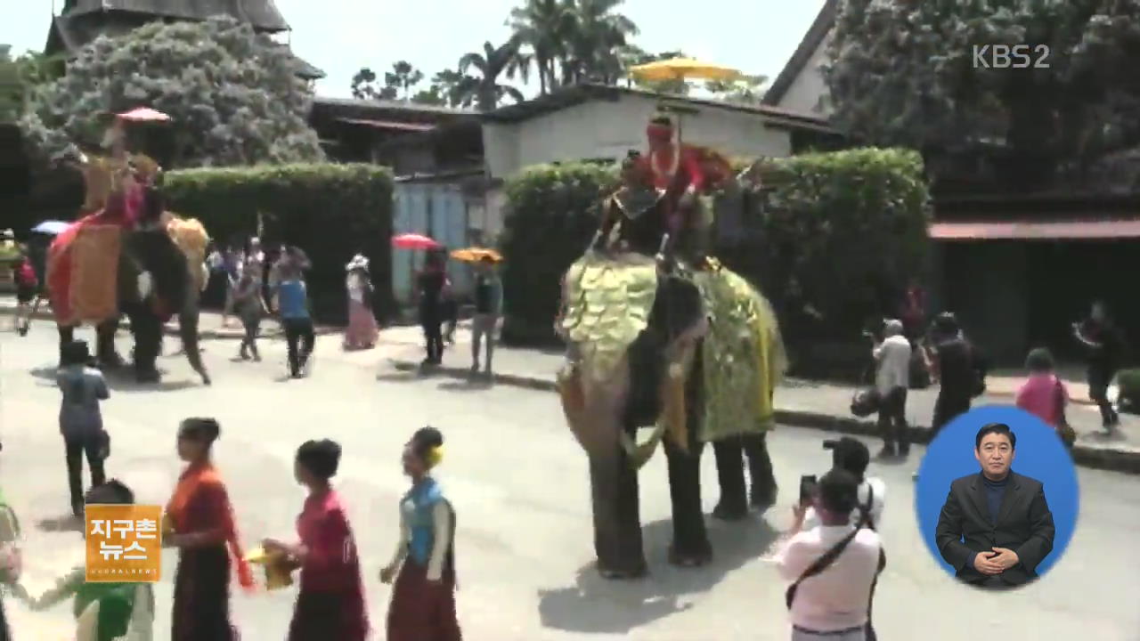 [지구촌 생생영상] 태국 국경일 ‘코끼리의 날’