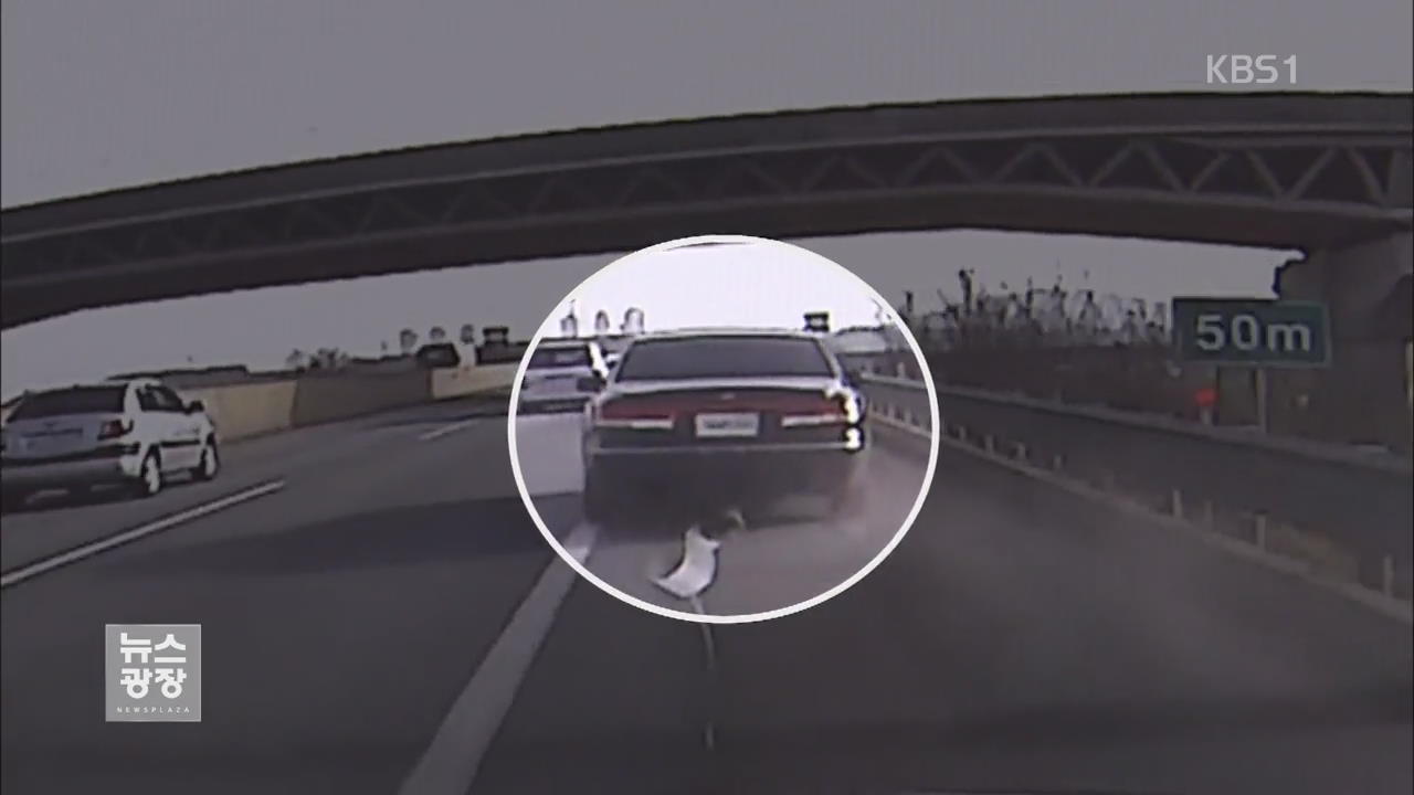 순찰자 피해 시속 180km 난폭운전