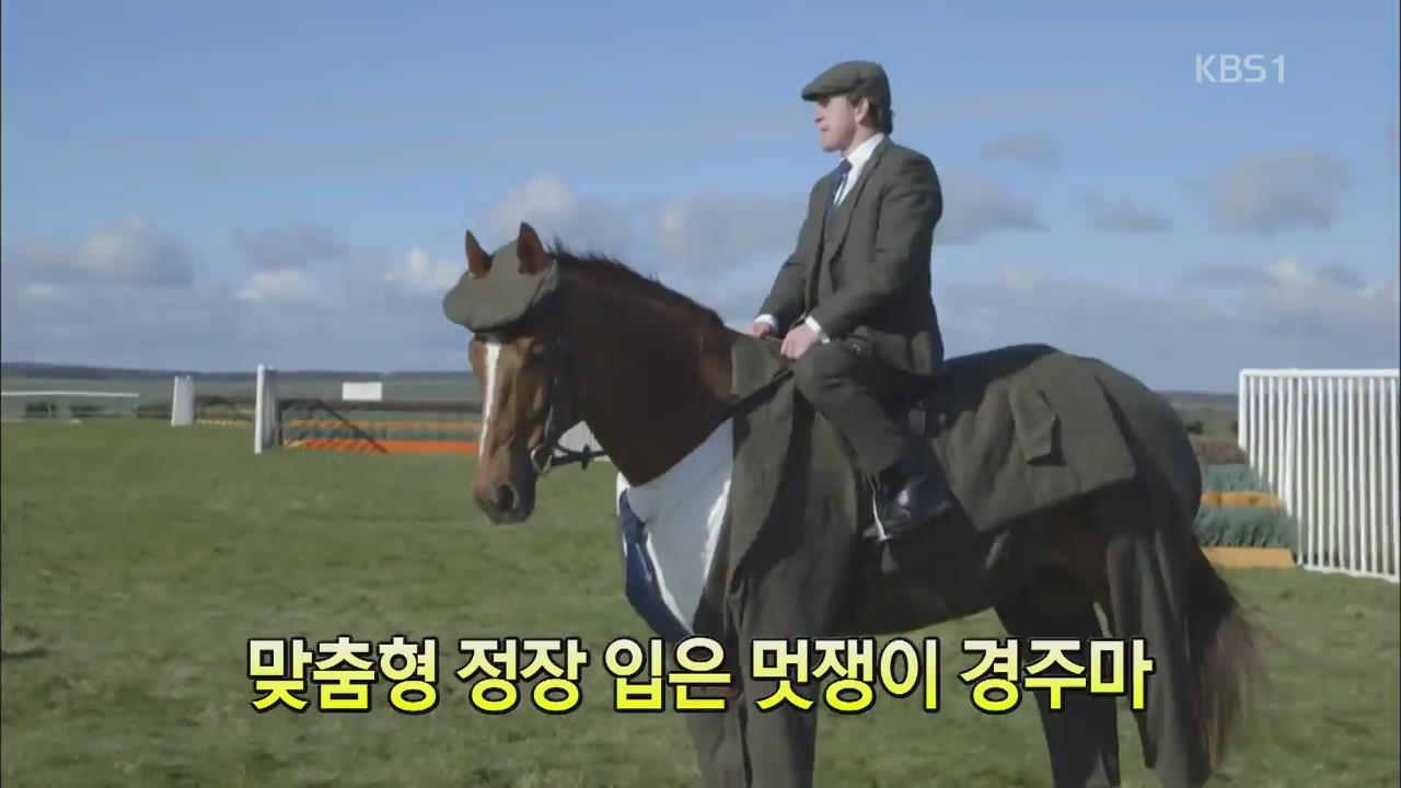 [세상의 창] 맞춤형 정장 입은 멋쟁이 경주마 