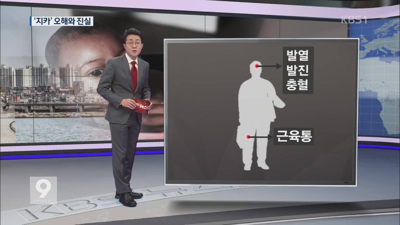 ‘지카’ 오해와 진실…일상접촉 전염 안 돼