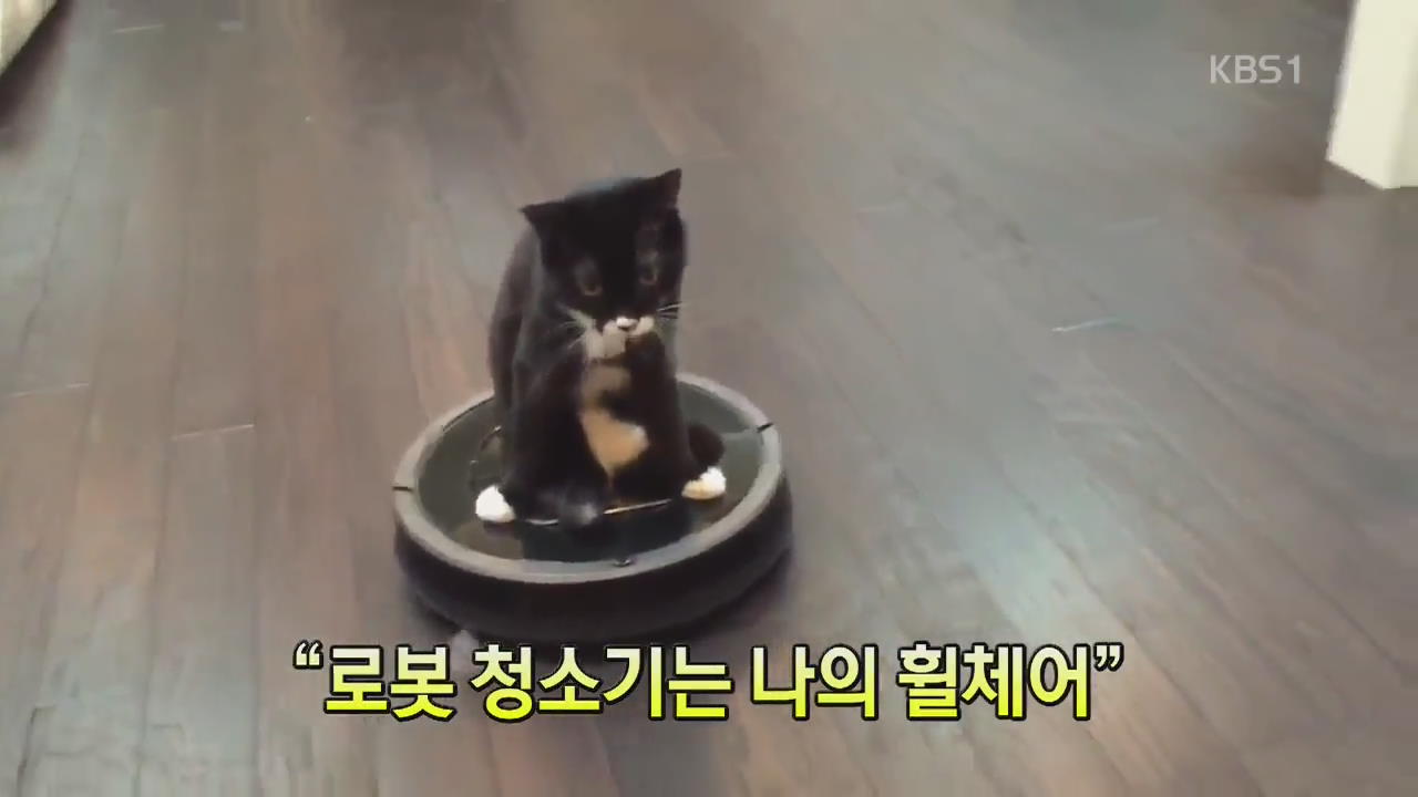 [세상의 창] “로봇 청소기는 나의 휠체어”
