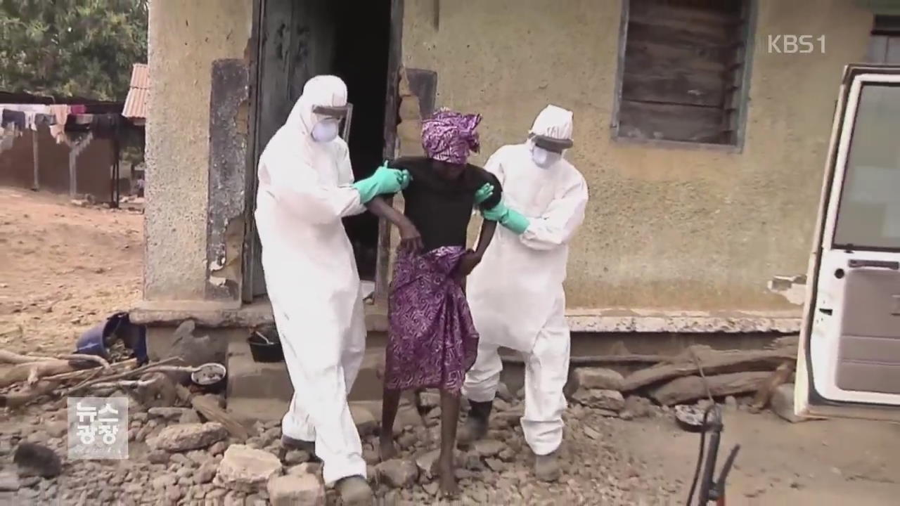 [지금 세계는] 서아프리카에서 에볼라 다시 확산
