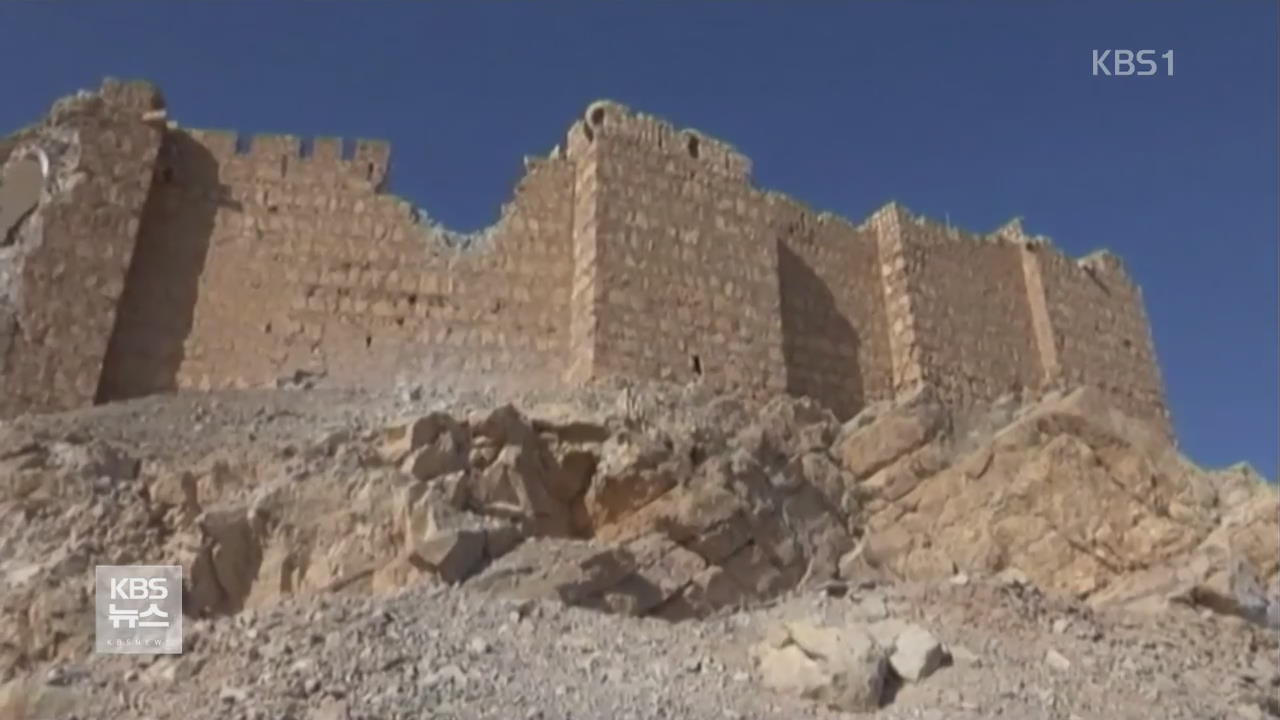 고대 유적 도시 ‘팔미라’ 폭발물 제거