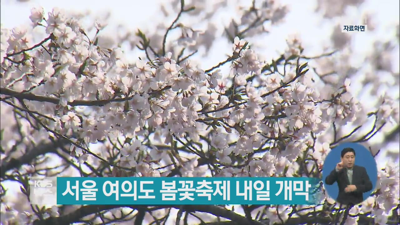 서울 여의도 봄꽃축제 내일 개막