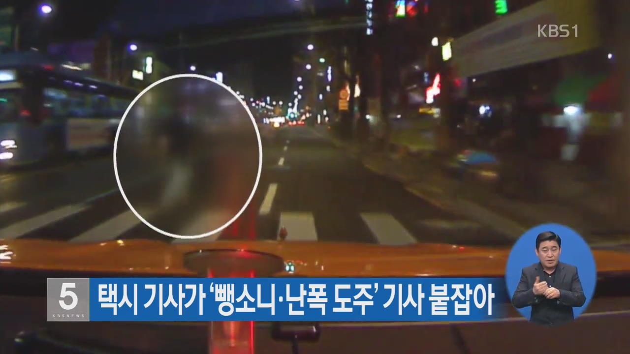 택시 기사가 ‘뺑소니·난폭 도주’ 기사 붙잡아