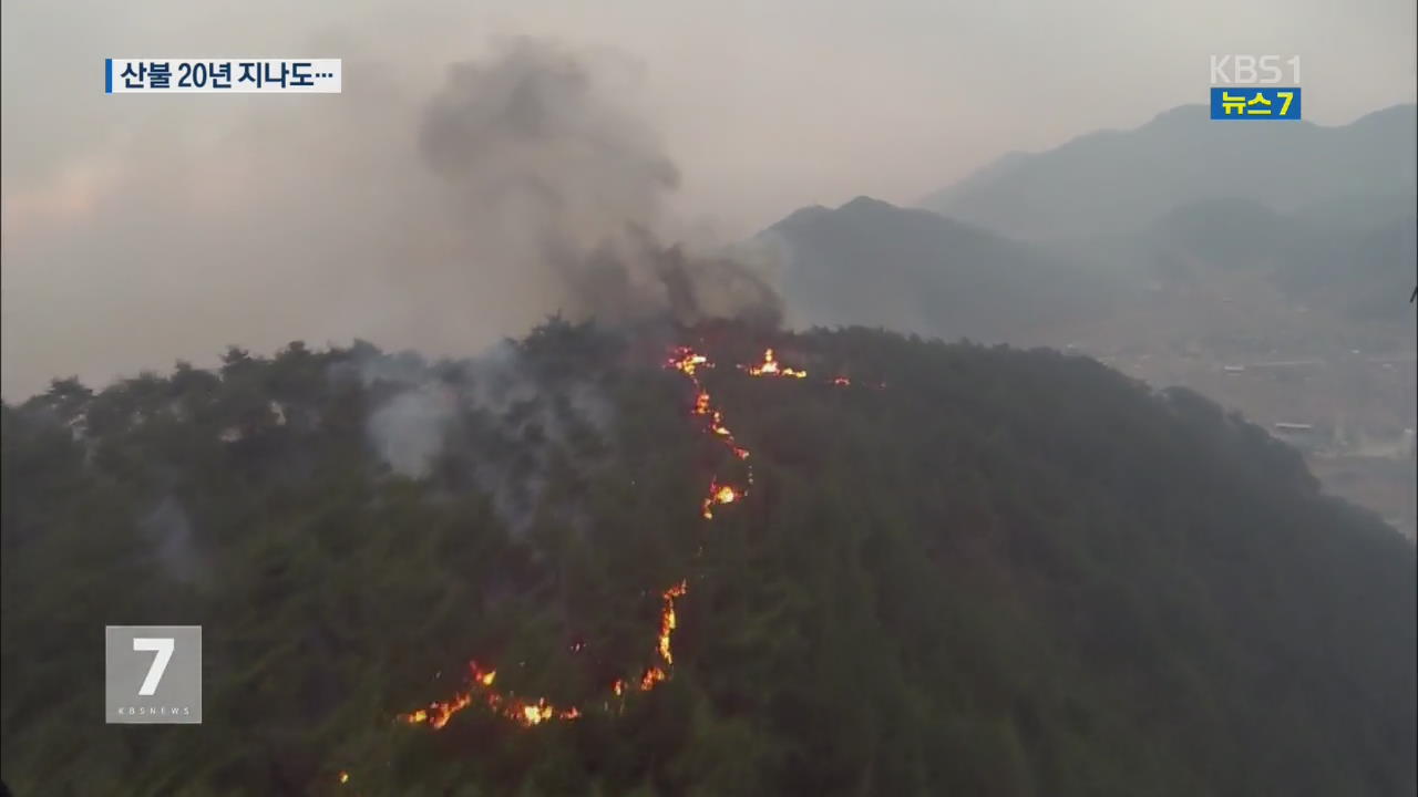 불탄 산림 ‘회복에 19년’…초대형 손실