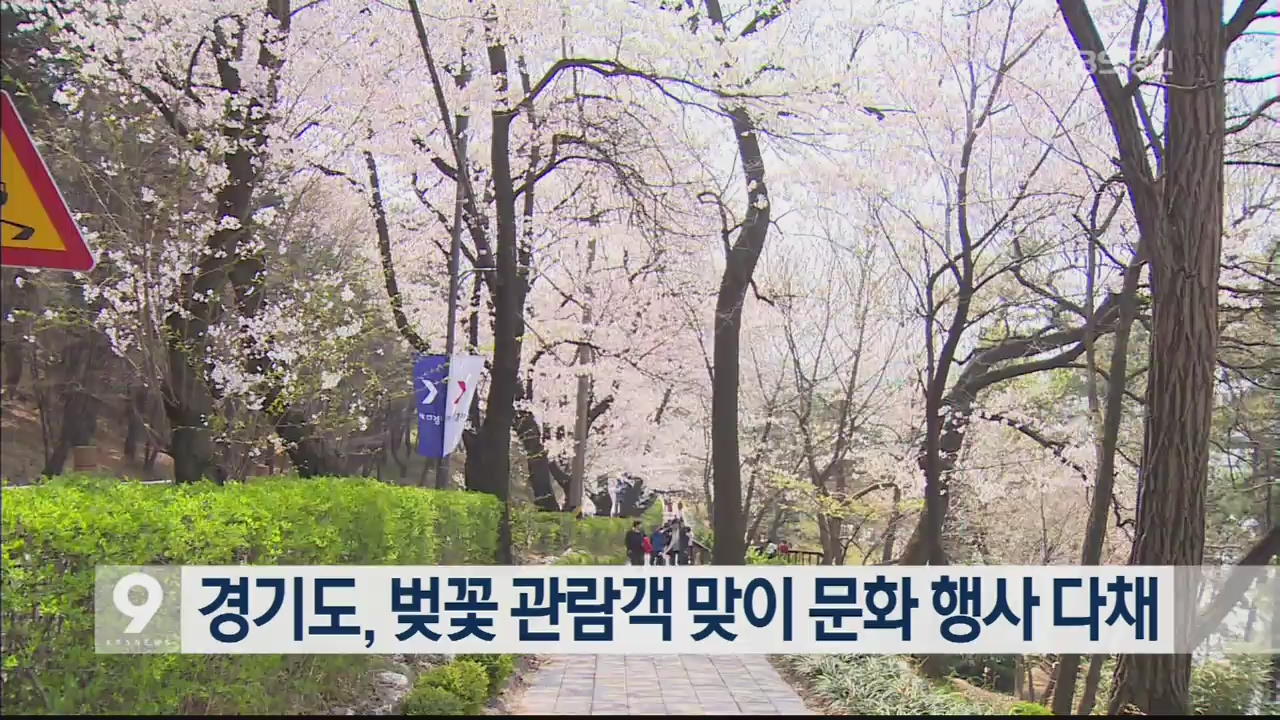 경기도, 벚꽃 관람객 맞이 문화 행사 다채