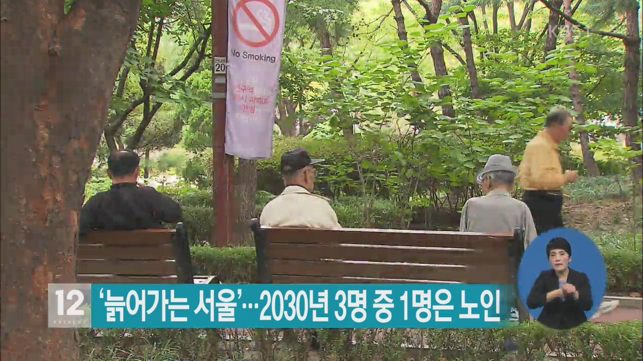 ‘늙어가는 서울’…2030년 3명 중 1명은 노인