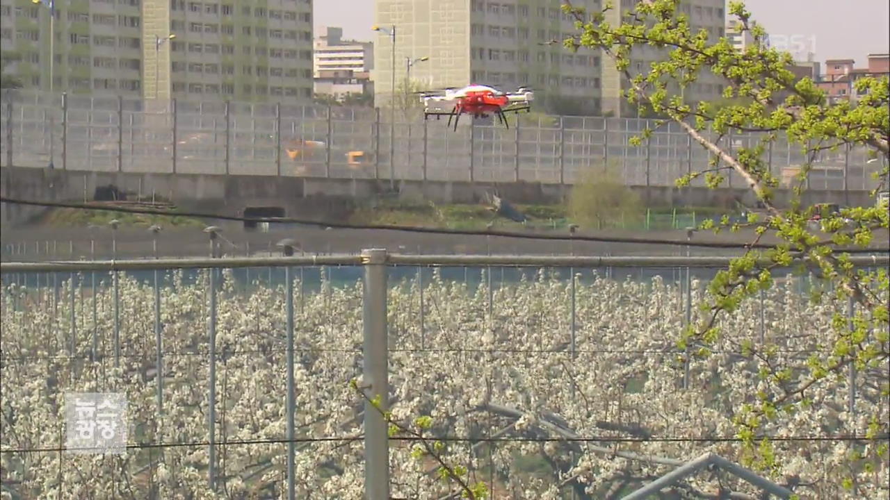 드론의 끝없는 변신…과수원 방제도 ‘척척’