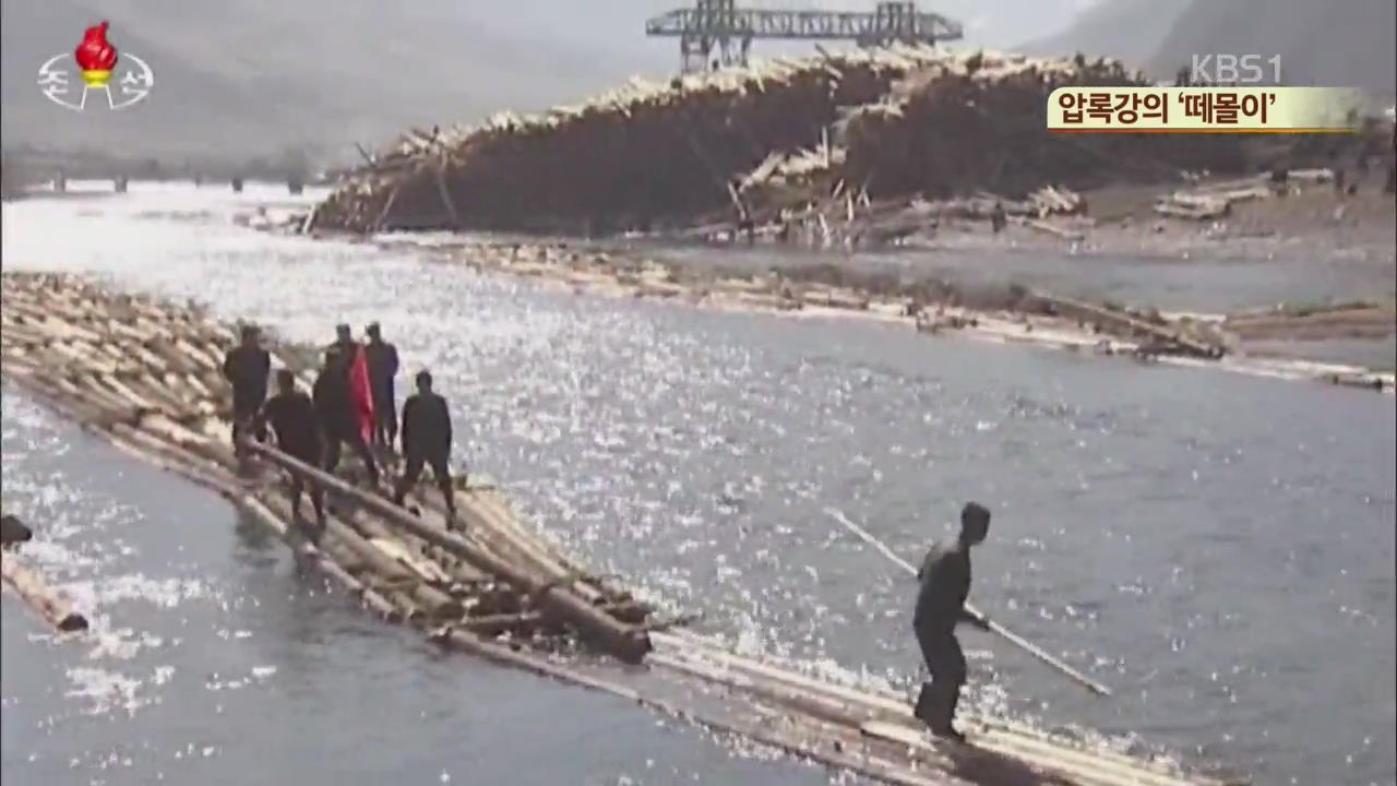 [북한영상] 압록강의 ‘떼몰이’