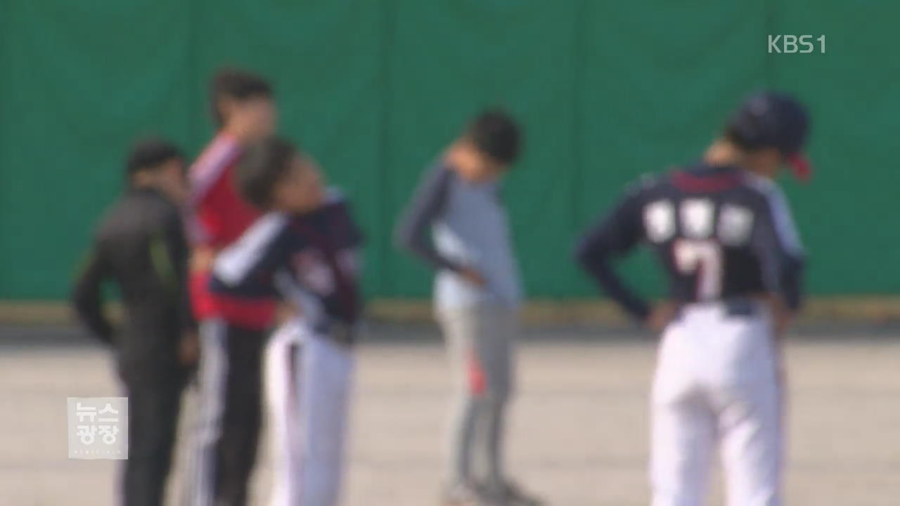 유소년 야구연맹 ‘배임 의혹’…체육단체 관리 감독 허점