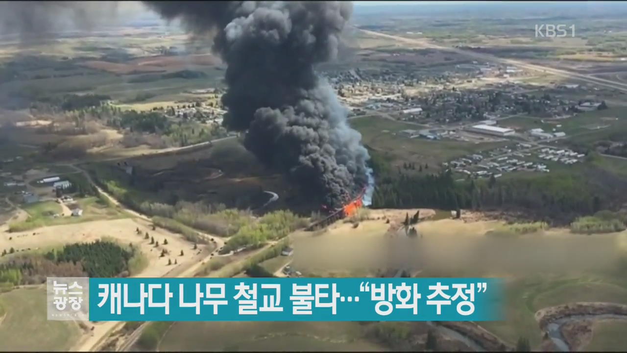 [지금 세계는] 캐나다 나무 철교 불타…“방화 추정”