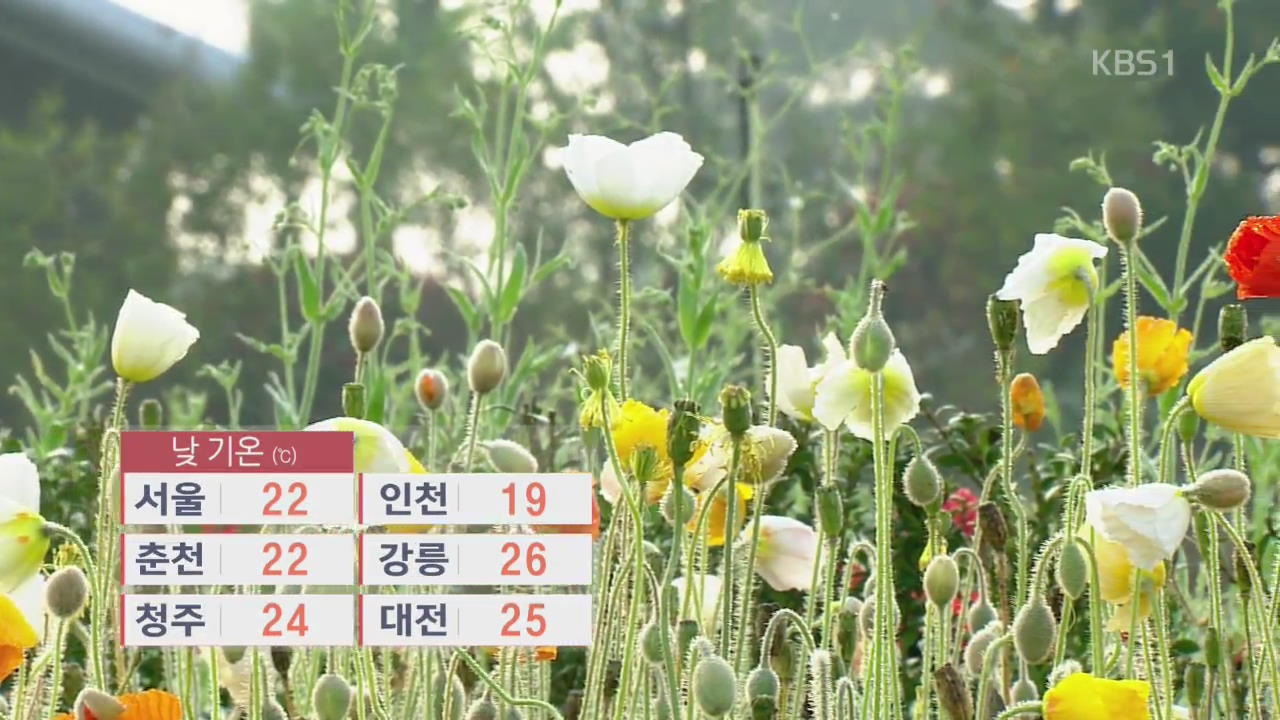 낮 기온 어제보다 올라…서울·강원 가끔 비