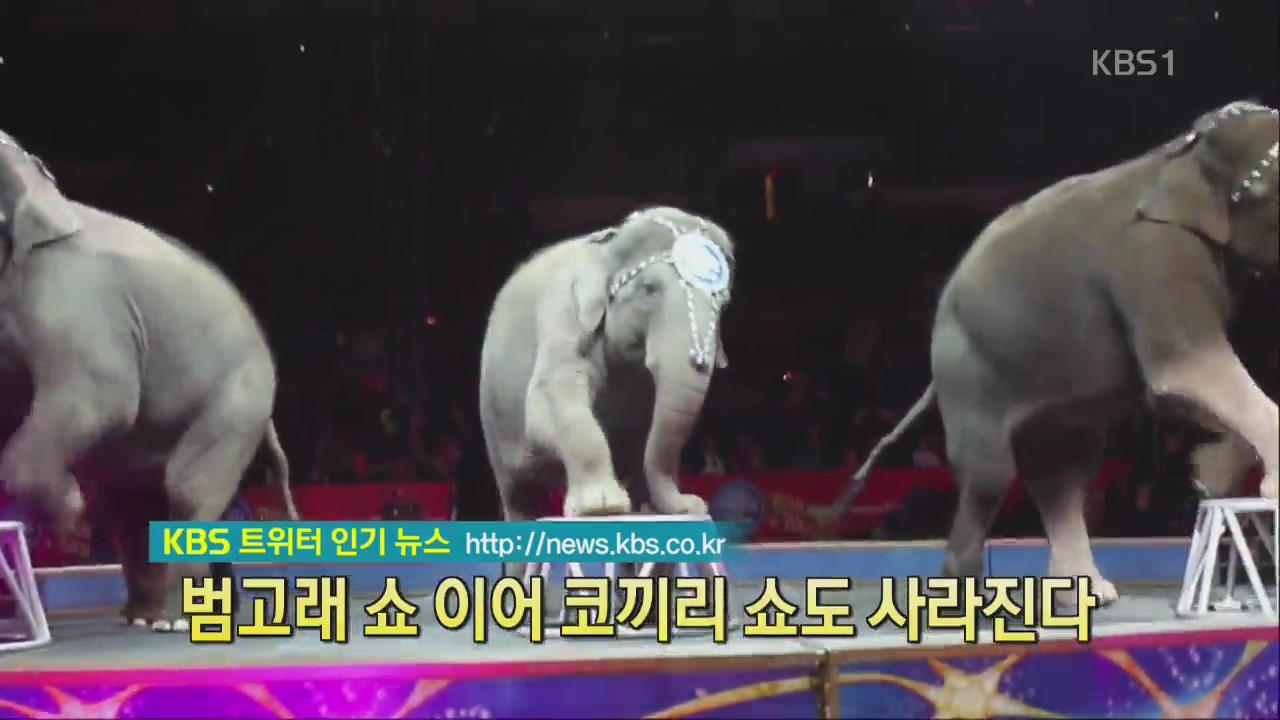 [디지털 광장] 범고래쇼 이어 코끼리 쇼도 사라진다