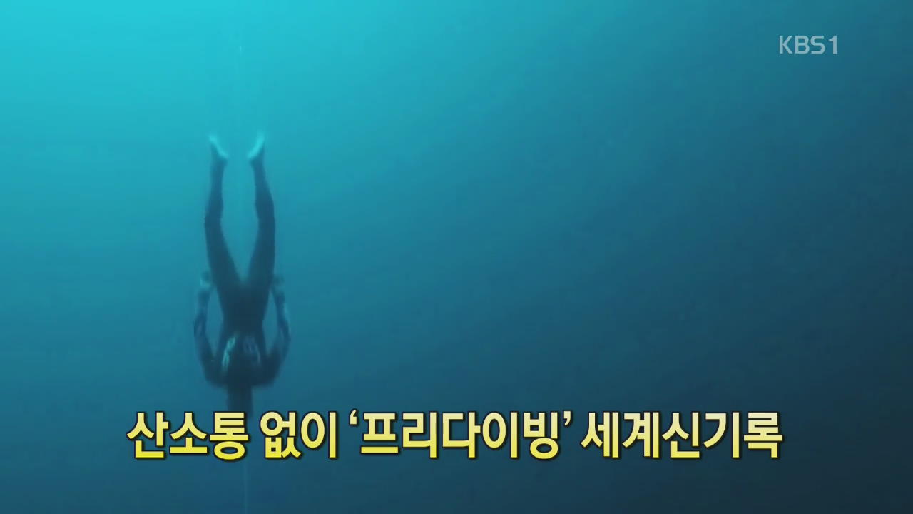 [디지털 광장] 산소통 없이 ‘프리다이빙’ 세계 신기록