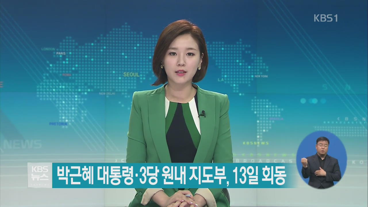 박근혜 대통령·3당 원내 지도부, 13일 회동