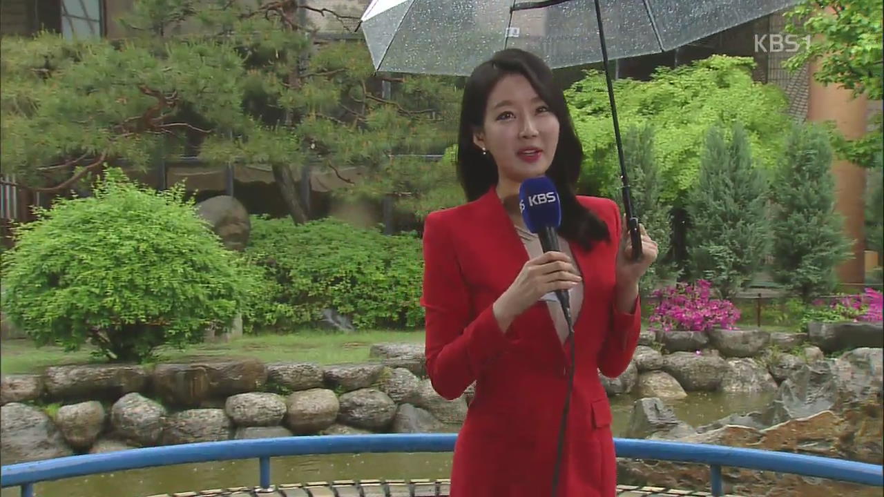 밤까지 전국에 봄비…한낮 선선