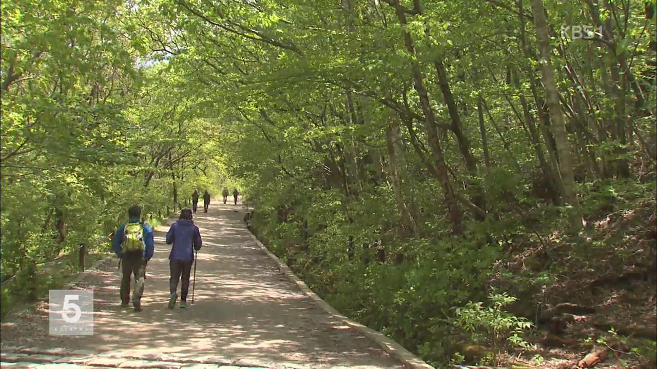 지리산 종주 탐방 인증제 도입된다